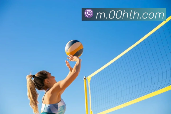 华体会平台生态图